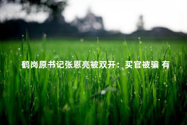 鹤岗原书记张恩亮被双开：买官被骗 有多严重？
